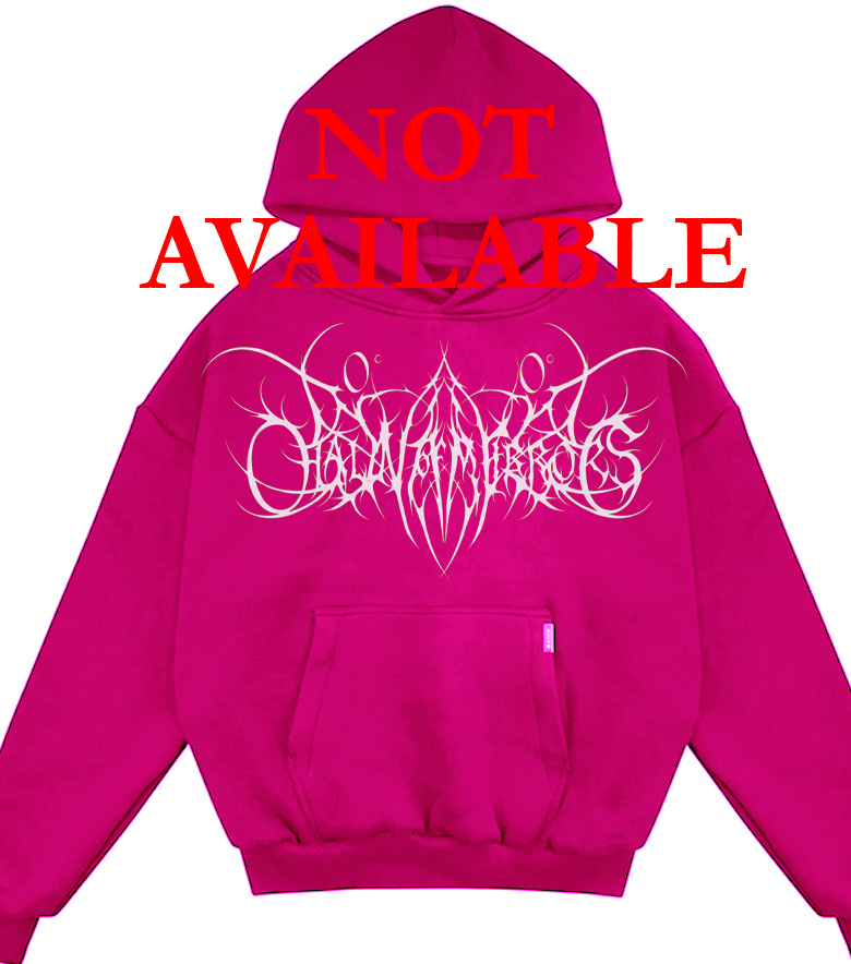 hoody2 copy